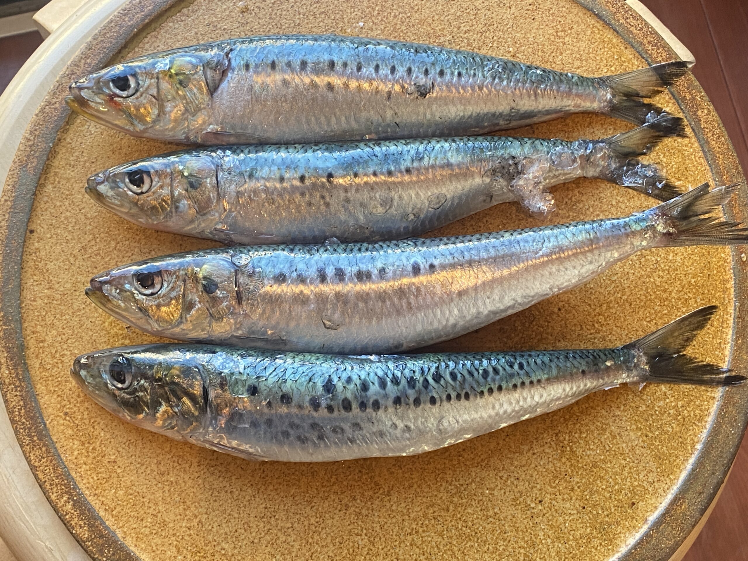 食べて美味しい!栄養豊かな優等生!イワシの捌き方を大公開! | 東京江戸川 鮨かの